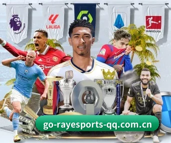 雷竞技电竞 APP(RAY ESPORTS)